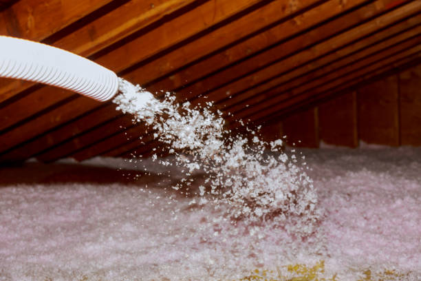 Types of Insulation We Offer in Lorane, PA