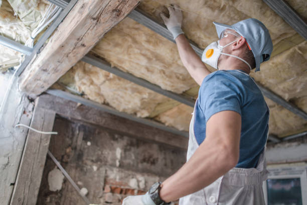 Best DIY Insulation Kits and Guidance in Lorane, PA