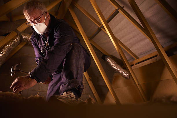Best Geographic-Specific Insulation Services in Lorane, PA